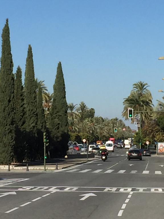 Hipalis Palmera Séville Extérieur photo